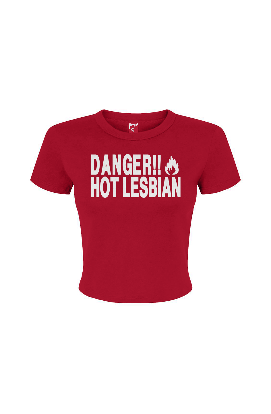 Danger Lesbian Women's Micro Rib Baby Tee