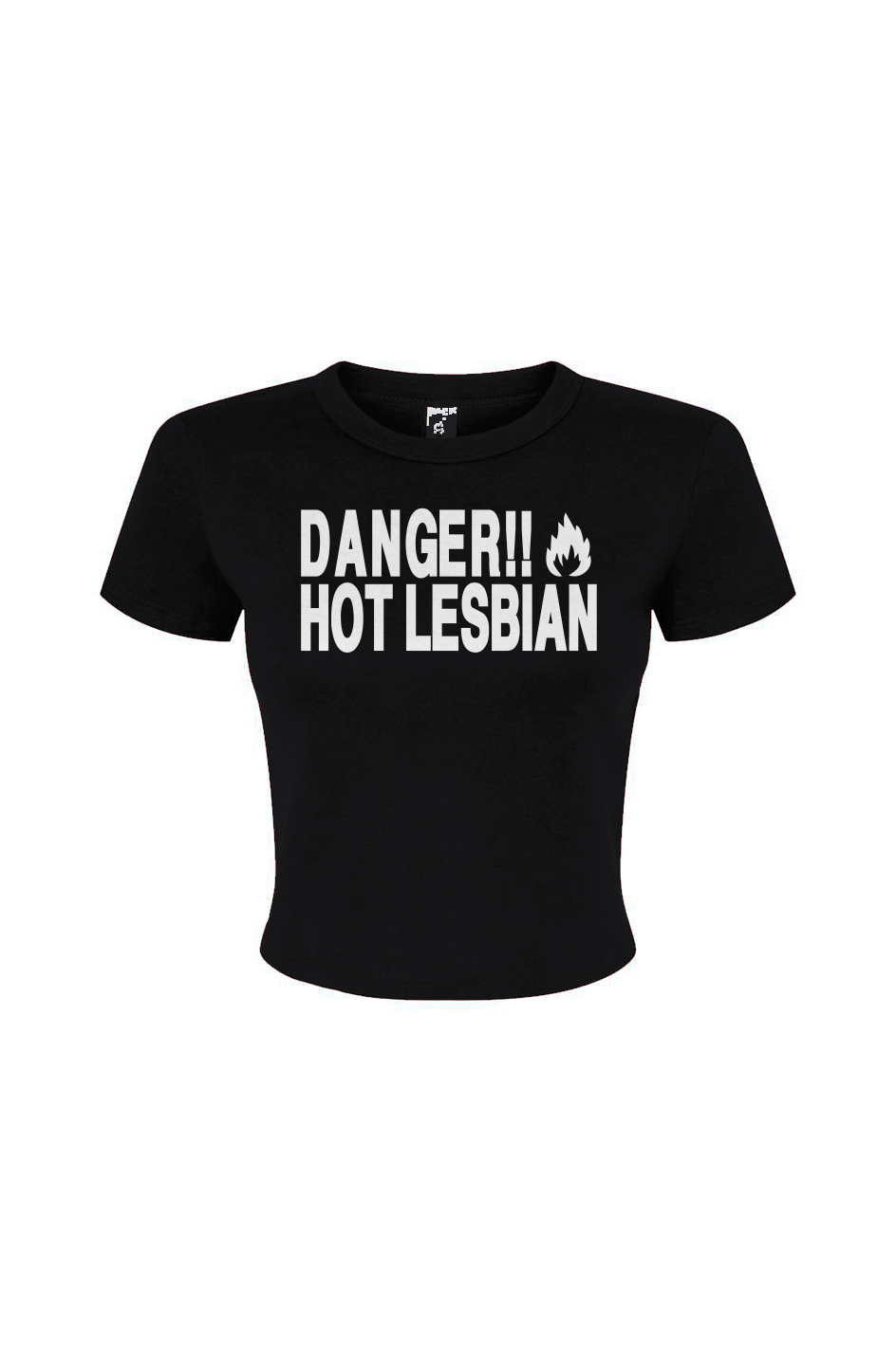 Danger Lesbian Women's Micro Rib Baby Tee