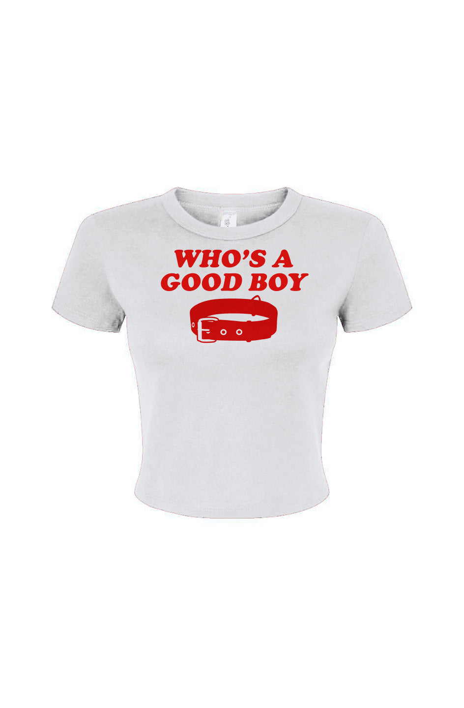 Whos a Good Boy Women's Micro Rib Baby Tee