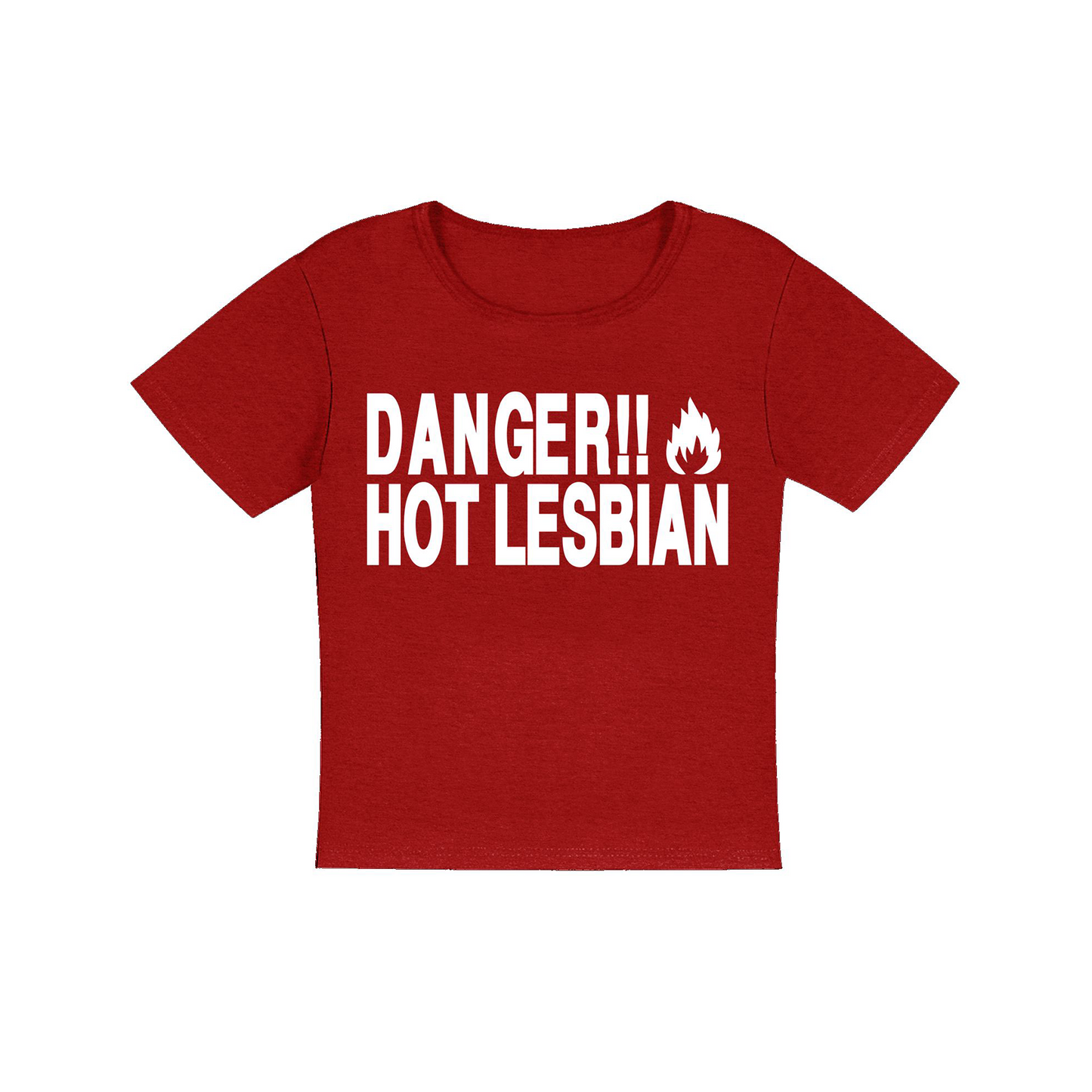 Danger Lesbian Women's Micro Rib Baby Tee